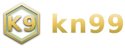 kn99 logo